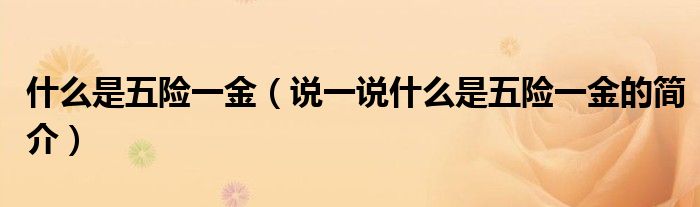 什么是五险一金（说一说什么是五险一金的简介）