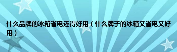 什么品牌的冰箱省电还得好用（什么牌子的冰箱又省电又好用）