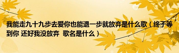 我能走九十九步去爱你也能退一步就放弃是什么歌（终于等到你 还好我没放弃  歌名是什么）