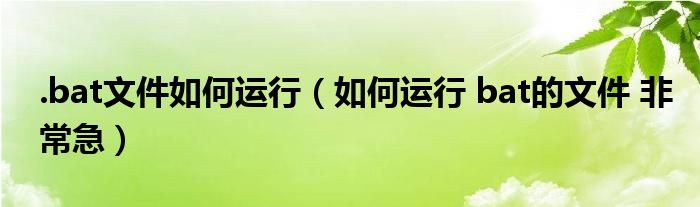 .bat文件如何运行（如何运行 bat的文件 非常急）