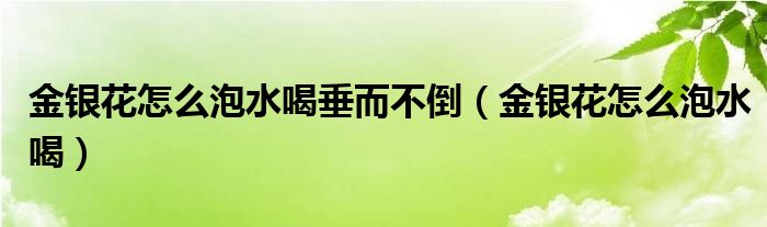 金银花怎么泡水喝垂而不倒（金银花怎么泡水喝）