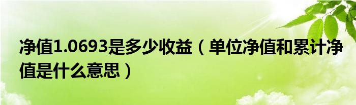 净值1.0693是多少收益（单位净值和累计净值是什么意思）