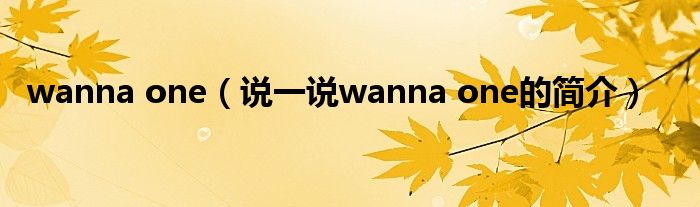 wanna one（说一说wanna one的简介）