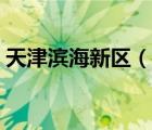 天津滨海新区（说一说天津滨海新区的简介）