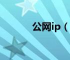 公网ip（说一说公网ip的简介）