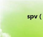 spv（说一说spv的简介）