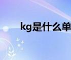 kg是什么单位符号（kg是什么单位）