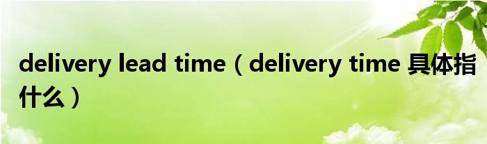 delivery lead time（delivery time 具体指什么）