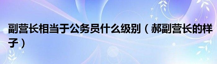 副营长相当于公务员什么级别（郝副营长的样子）