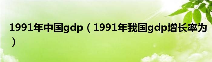 1991年中国gdp（1991年我国gdp增长率为）