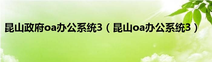 昆山政府oa办公系统3（昆山oa办公系统3）