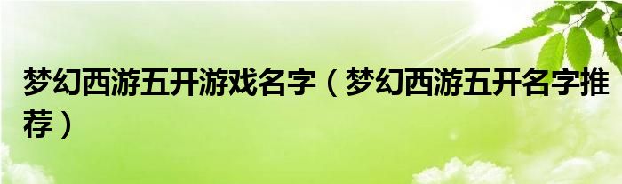 梦幻西游五开游戏名字（梦幻西游五开名字推荐）