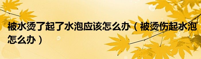 被水烫了起了水泡应该怎么办（被烫伤起水泡怎么办）