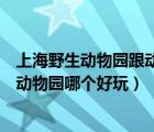 上海野生动物园跟动物园哪个好玩（上海动物园和上海野生动物园哪个好玩）