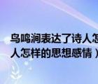 鸟鸣涧表达了诗人怎样的思想感情一个字（鸟鸣涧表达了诗人怎样的思想感情）