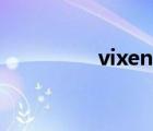 vixen演员（vixen系列）