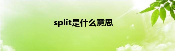 split是什么意思