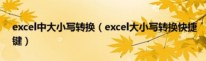 excel中大小写转换（excel大小写转换快捷键）