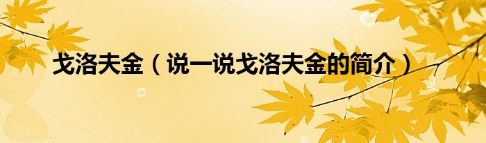 戈洛夫金（说一说戈洛夫金的简介）