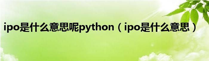 ipo是什么意思呢python（ipo是什么意思）