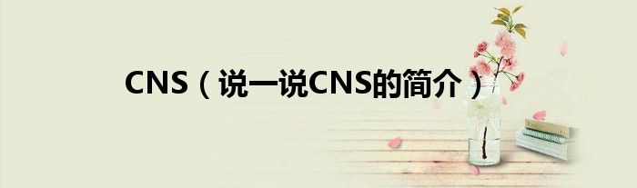 CNS（说一说CNS的简介）