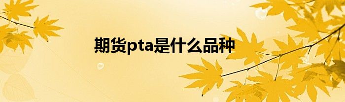 期货pta是什么品种