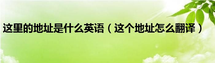 这里的地址是什么英语（这个地址怎么翻译）