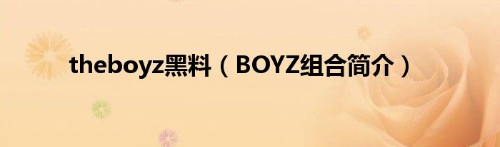 theboyz黑料（BOYZ组合简介）