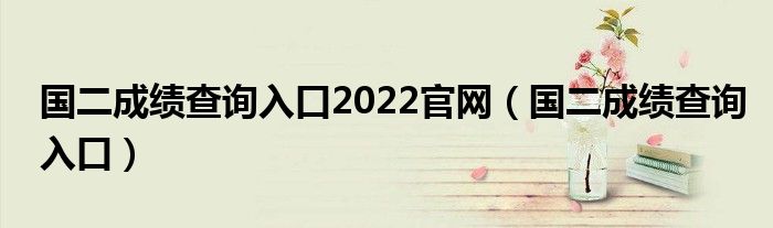 国二成绩查询入口2022官网（国二成绩查询入口）