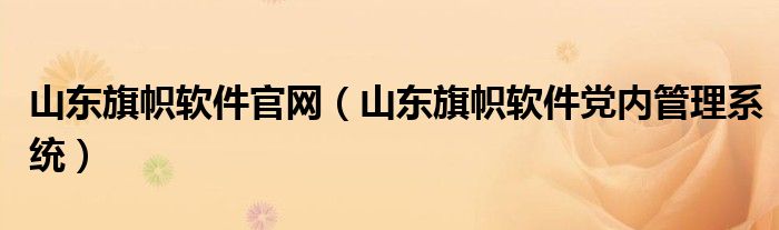 山东旗帜软件官网（山东旗帜软件党内管理系统）