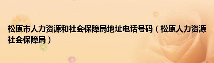 松原市人力资源和社会保障局地址电话号码（松原人力资源社会保障局）