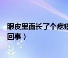 眼皮里面长了个疙瘩怎么回事儿（眼皮里面长了个疙瘩怎么回事）