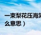 一束梨花压海棠的意思（一树梨花压海棠是什么意思）