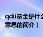 qdii基金是什么意思（说一说qdii基金是什么意思的简介）