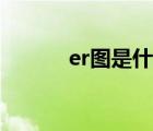 er图是什么样的（er图是什么）