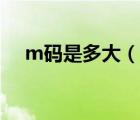 m码是多大（说一说m码是多大的简介）