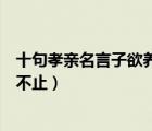 十句孝亲名言子欲养而亲不待（子欲养而亲不待树欲静而风不止）