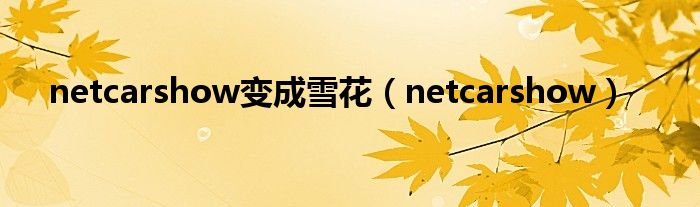 netcarshow变成雪花（netcarshow）