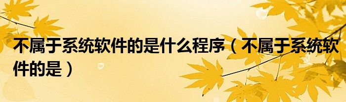 不属于系统软件的是什么程序（不属于系统软件的是）