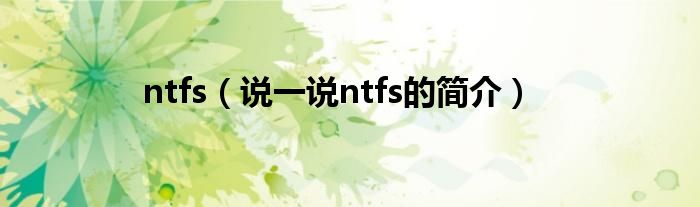 ntfs（说一说ntfs的简介）