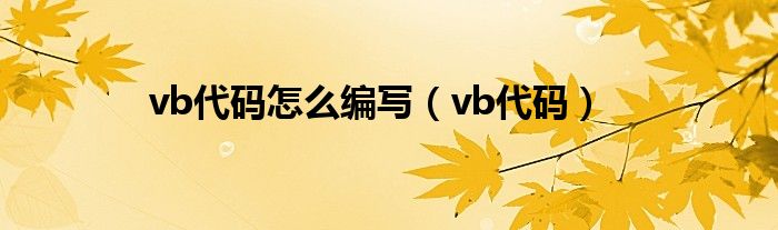 vb代码怎么编写（vb代码）