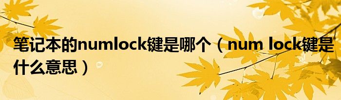 笔记本的numlock键是哪个（num lock键是什么意思）