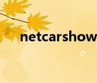 netcarshow变成雪花（netcarshow）