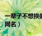 一辈子不想换的网名三字简单（想取个好听的网名）