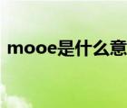 mooe是什么意思中文（mooe是什么意思）