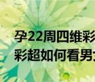 孕22周四维彩超数据表分男女（孕22周四维彩超如何看男女）