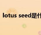 lotus seed是什么意思（lotus是什么意思）