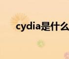 cydia是什么在哪找到（cydia是什么）