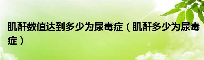 肌酐数值达到多少为尿毒症（肌酐多少为尿毒症）