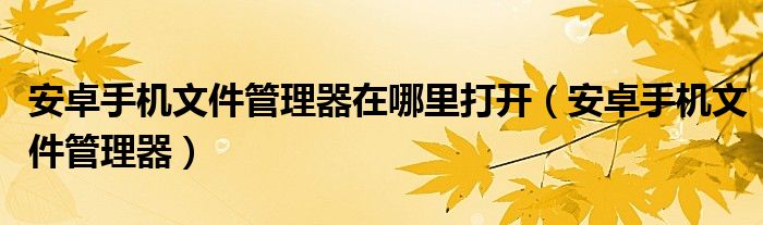 安卓手机文件管理器在哪里打开（安卓手机文件管理器）